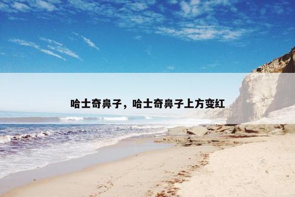 哈士奇鼻子，哈士奇鼻子上方变红