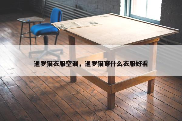暹罗猫衣服空调，暹罗猫穿什么衣服好看