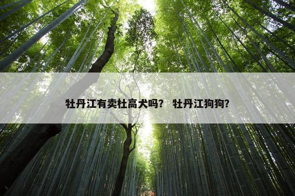 牡丹江有卖杜高犬吗？ 牡丹江狗狗？