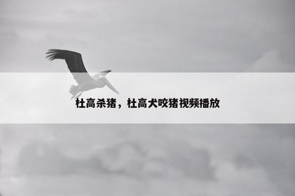 杜高杀猪，杜高犬咬猪视频播放