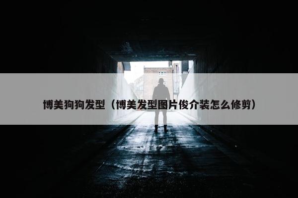 博美狗狗发型（博美发型图片俊介装怎么修剪）