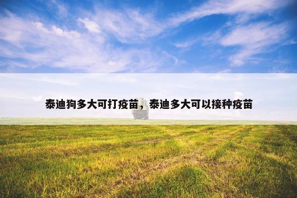 泰迪狗多大可打疫苗，泰迪多大可以接种疫苗
