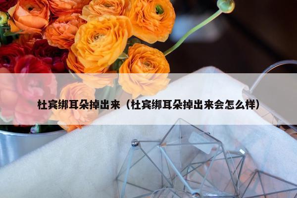 杜宾绑耳朵掉出来（杜宾绑耳朵掉出来会怎么样）