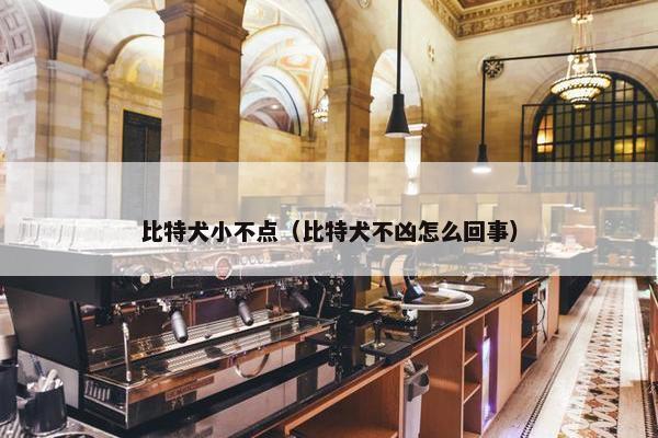 比特犬小不点（比特犬不凶怎么回事）