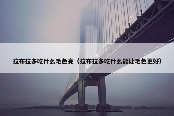 拉布拉多吃什么毛色亮（拉布拉多吃什么能让毛色更好）