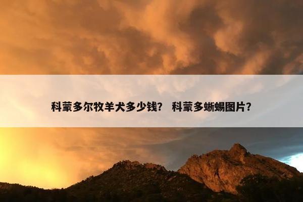 科蒙多尔牧羊犬多少钱？ 科蒙多蜥蜴图片？