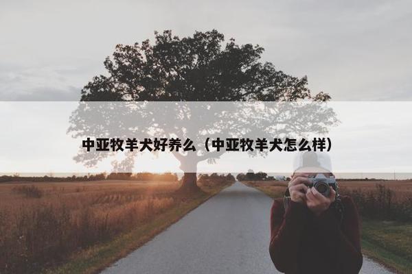 中亚牧羊犬好养么（中亚牧羊犬怎么样）