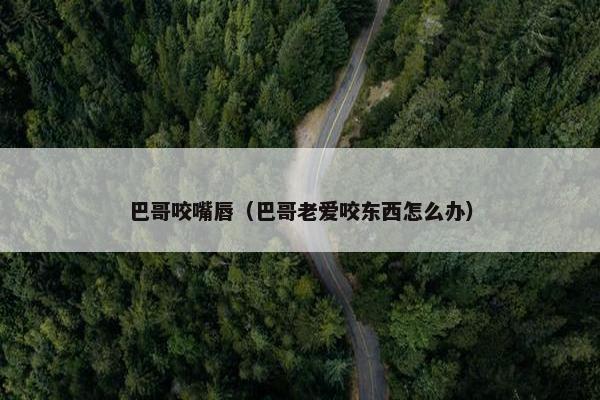 巴哥咬嘴唇（巴哥老爱咬东西怎么办）