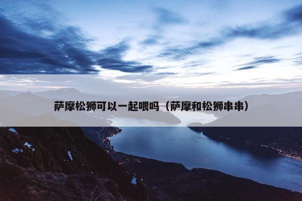 萨摩松狮可以一起喂吗（萨摩和松狮串串）