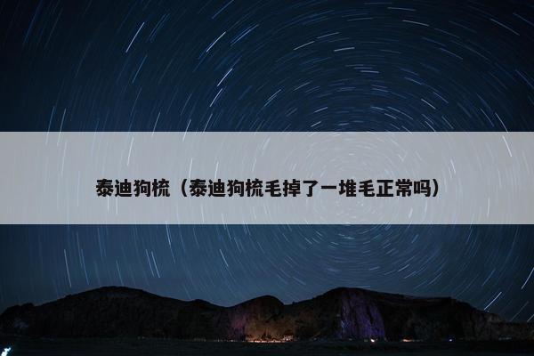 泰迪狗梳（泰迪狗梳毛掉了一堆毛正常吗）