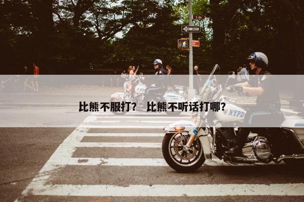 比熊不服打？ 比熊不听话打哪？