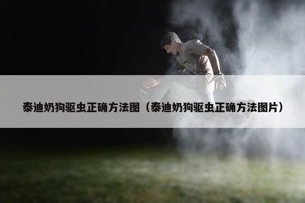 泰迪奶狗驱虫正确方法图（泰迪奶狗驱虫正确方法图片）