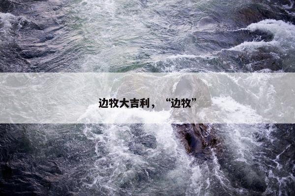 边牧大吉利，“边牧”