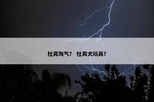 杜宾淘气？ 杜宾犬玩具？