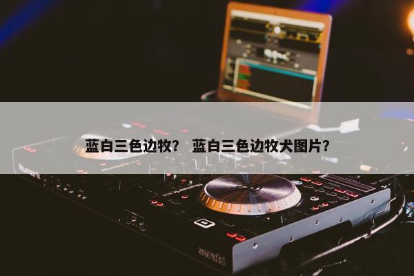 蓝白三色边牧？ 蓝白三色边牧犬图片？