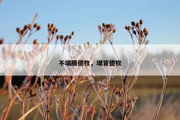 不塌腰德牧，塌背德牧