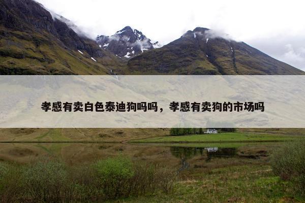 孝感有卖白色泰迪狗吗吗，孝感有卖狗的市场吗