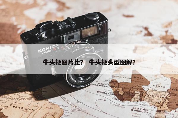 牛头梗图片比？ 牛头梗头型图解？