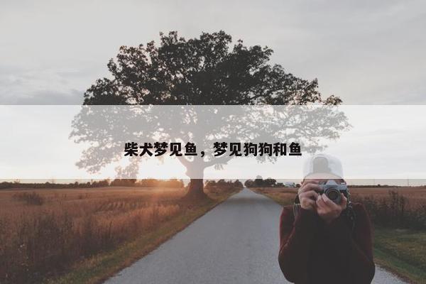 柴犬梦见鱼，梦见狗狗和鱼