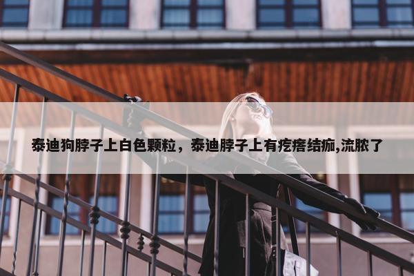 泰迪狗脖子上白色颗粒，泰迪脖子上有疙瘩结痂,流脓了