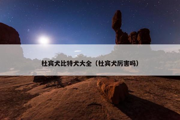 杜宾犬比特犬大全（杜宾犬厉害吗）