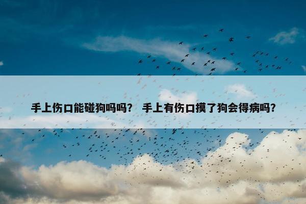 手上伤口能碰狗吗吗？ 手上有伤口摸了狗会得病吗？
