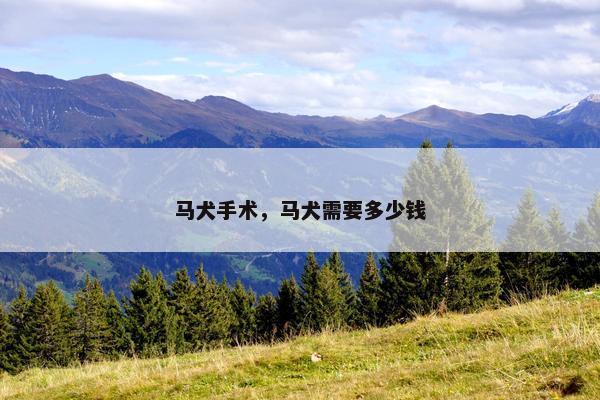 马犬手术，马犬需要多少钱