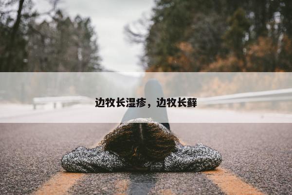 边牧长湿疹，边牧长藓