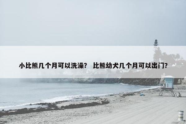 小比熊几个月可以洗澡？ 比熊幼犬几个月可以出门？