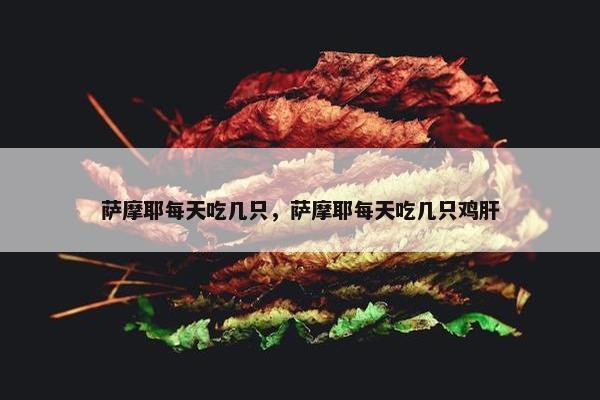 萨摩耶每天吃几只，萨摩耶每天吃几只鸡肝