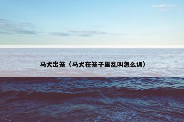 马犬出笼（马犬在笼子里乱叫怎么训）