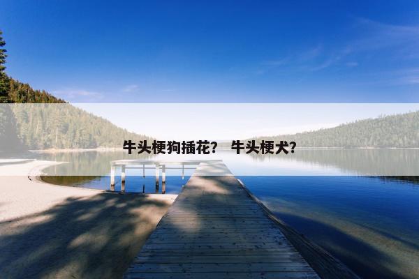 牛头梗狗插花？ 牛头梗犬？