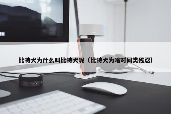 比特犬为什么叫比特犬呢（比特犬为啥对同类残忍）