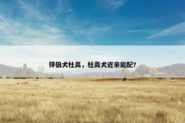 伴侣犬杜高，杜高犬近亲能配?