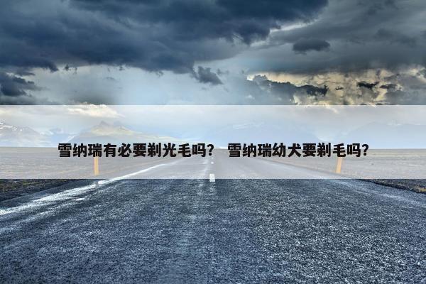雪纳瑞有必要剃光毛吗？ 雪纳瑞幼犬要剃毛吗？
