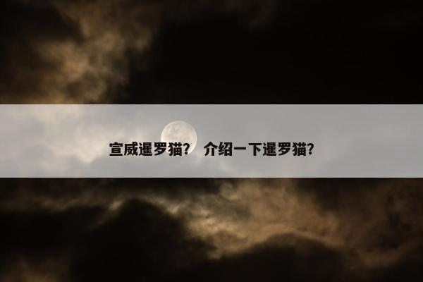 宣威暹罗猫？ 介绍一下暹罗猫？