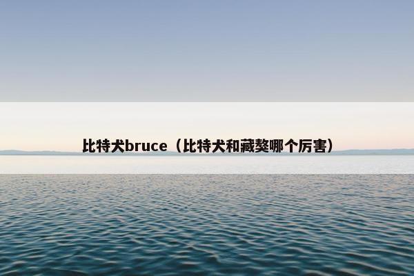 比特犬bruce（比特犬和藏獒哪个厉害）
