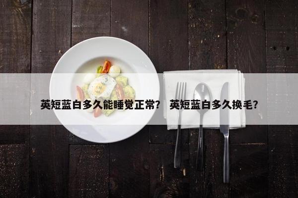 英短蓝白多久能睡觉正常？ 英短蓝白多久换毛？
