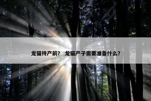 龙猫待产前？ 龙猫产子需要准备什么？