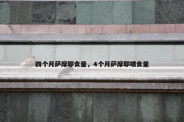 四个月萨摩耶食量，4个月萨摩耶喂食量