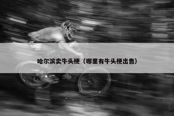 哈尔滨卖牛头梗（哪里有牛头梗出售）