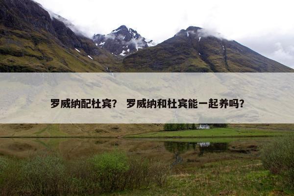 罗威纳配杜宾？ 罗威纳和杜宾能一起养吗？