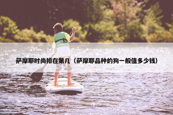 萨摩耶时尚排在第几（萨摩耶品种的狗一般值多少钱）