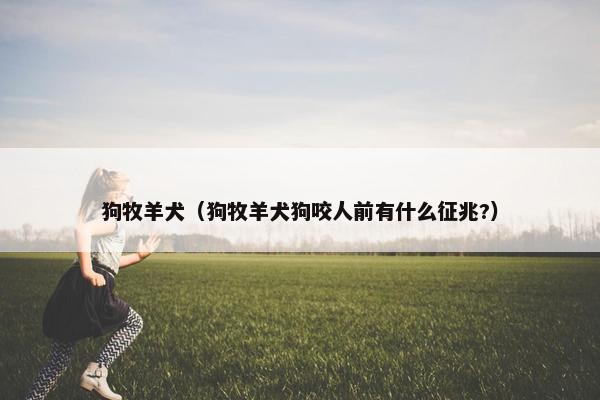 狗牧羊犬（狗牧羊犬狗咬人前有什么征兆?）