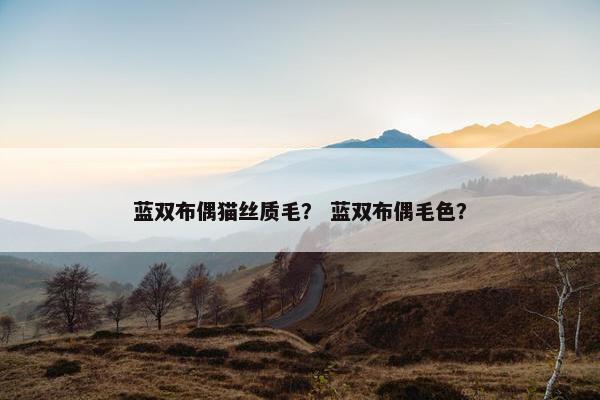 蓝双布偶猫丝质毛？ 蓝双布偶毛色？