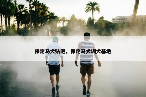 保定马犬贴吧，保定马犬训犬基地