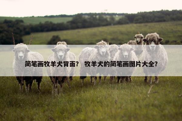 简笔画牧羊犬背面？ 牧羊犬的简笔画图片大全？