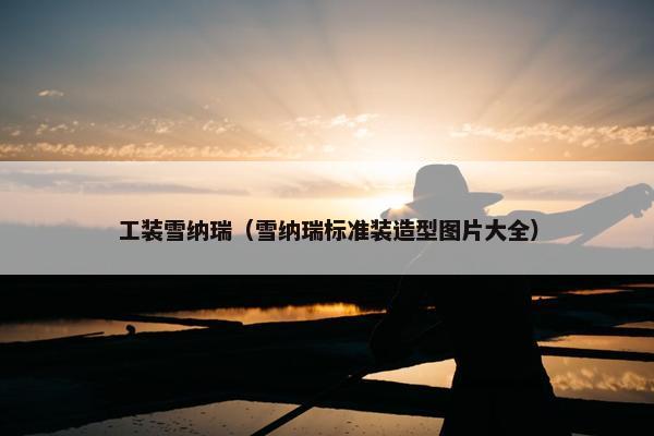 工装雪纳瑞（雪纳瑞标准装造型图片大全）