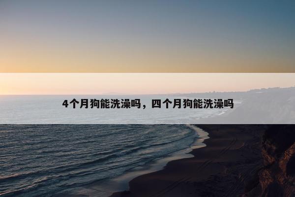 4个月狗能洗澡吗，四个月狗能洗澡吗