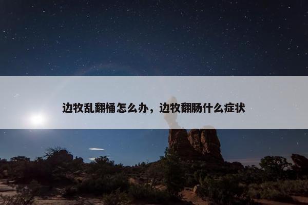 边牧乱翻桶怎么办，边牧翻肠什么症状